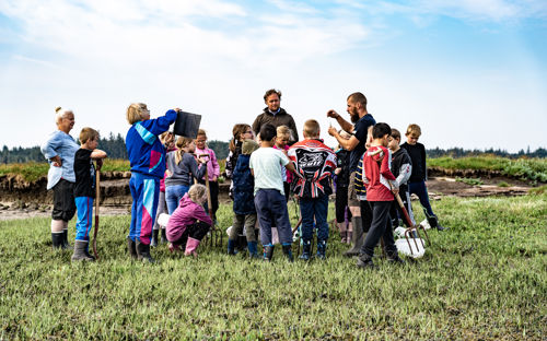 Np Vadehavet Skallingen