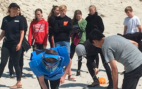 Minerydning Og Verdensarv Skallingen